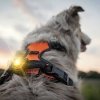 Orbiloc Dual Safety Light (Gul)