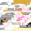 Royal Canin Maine Coon Kitten torrfoder för kattunge