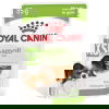 Royal Canin X-Small Adult Gravy våtfoder för hund 12 x 85 g