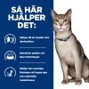 Hills Prescription Diet Feline k/d Kidney Care Tuna