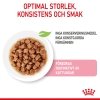 Royal Canin Kitten Gravy 12x85 g