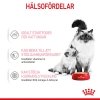 Royal Canin Mother & Babycat Mousse