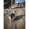 Non-stop Dogwear Touring Bungee Leash Elastiskt hundkoppel