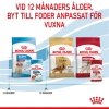 Royal Canin Medium Puppy Gravy våtfoder för hundvalp 10x140g
