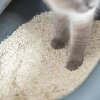 Trixie Tofu Kattsand (4,5 kg)