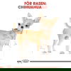 Royal Canin Chihuahua Adult torrfoder för hund