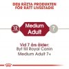 Royal Canin Dog Medium Adult