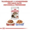 Royal Canin Ageing +12 Gravy 12x85 g