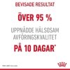 Royal Canin Digestive Care Gravy 12 x 85 g