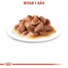 Royal Canin Ageing +12 Gravy 12x85 g