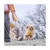 Hurtta Seeker Standard Hundkoppel 180 cm (Lila)