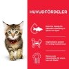 Hills Science Plan Kitten Chicken