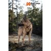 Non-stop Dogwear Rock Harness Hundsele Svart/Orange