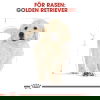 Royal Canin Golden Retriever Puppy torrfoder för hundvalp