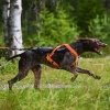 Non-Stop Dogwear Freemotion 5.0 Dragsele Orange & Svart
