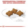 Royal Canin X-Small Sterilised