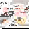 Royal Canin Fit Adult torrfoder för katt