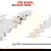 Royal Canin Bichon Frisé Adult torrfoder för hund