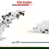 Royal Canin Dalmatian Junior Puppy torrfoder för hundvalp