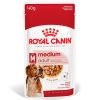 Royal Canin Medium Adult Gravy våtfoder för hund 10x140g
