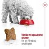 Royal Canin Mini Adult torrfoder för hund