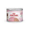 Royal Canin Mother & Babycat Mousse