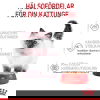 Royal Canin Kitten Loaf våtfoder för kattunge 12x85 g