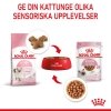 Royal Canin Kitten Gravy 12x85 g