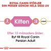 Royal Canin Persian Kitten