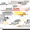 Royal Canin Coat Care Adult våtfoder för hund 12x85 g