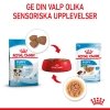 Royal Canin Mini Puppy 12x85g