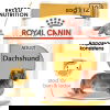 Royal Canin Dachshund Adult Loaf våtfoder för hund 12x85g