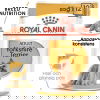 Royal Canin Breed Yorkshire 12x85g