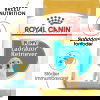 Royal Canin Labrador Retriever Puppy torrfoder för hundvalp