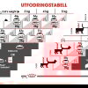 Royal Canin Fit Adult torrfoder för katt