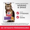 Hill&#39;s Science Plan Cat Adult Sensitive Stomach & Skin Chicken