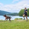 Non-Stop Dogwear Freemotion 5.0 Dragsele Orange & Svart