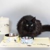 Moomin For Pets Silikonunderlägg (Gul)
