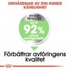 Royal Canin Digestive Care Mini Adult torrfoder för hund
