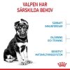 Royal Canin Dog Maxi Puppy