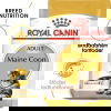 Royal Canin Maine Coon Adult torrfoder för katt