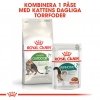 Royal Canin Outdoor 7+