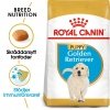 Royal Canin Breed Golden Retriever Junior