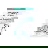 Protexin Cobalaplex till Hund & Katt 60 kapslar