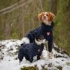 Feel Active Snow Hundoverall Blå