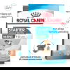 Royal Canin Mini Starter torrfoder för hund och hundvalp