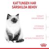 Royal Canin Kitten