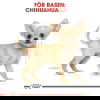 Royal Canin Chihuahua Puppy torrfoder för hundvalp