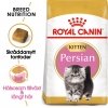 Royal Canin Persian Kitten