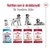 Royal Canin Medium Ageing 10+ torrfoder för hund